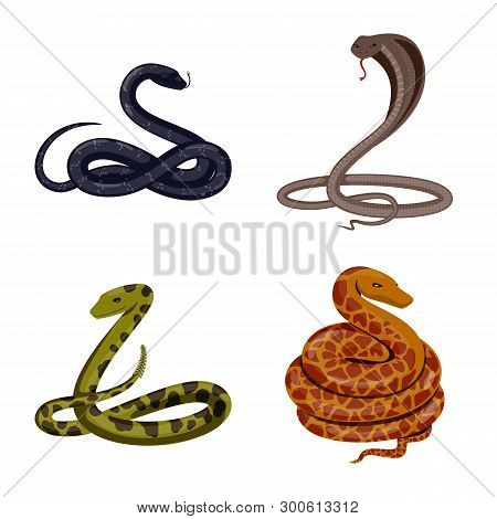 Vector Illustration Of Poison And Evil Symbol. Collection Of Poison And Bite Stock Vector Illustrati