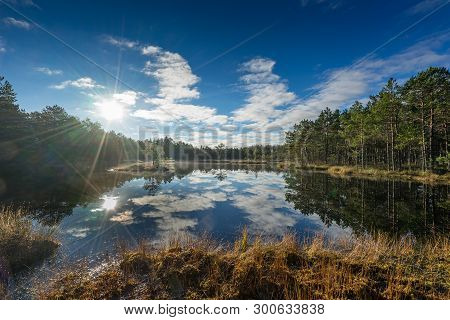 Sunrise In The Bog. Icy Cold Marsh. Frosty Ground. Swamp Lake And Nature. Freeze Temperatures In Moo