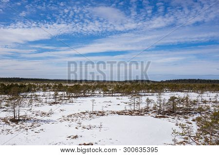 Sunrise In The Bog. Icy Cold Marsh. Frosty Ground. Swamp Lake And Nature. Freeze Temperatures In Moo