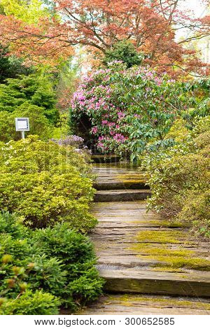 Opava, Novy Dvur, Czech Republic - 24 April 2019 - Botanical Garden In Spring, Blooming Flowers, Nic