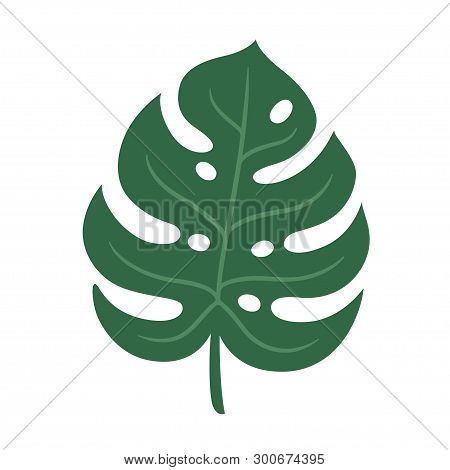 Get Wallpaper Monstera Deliciosa Vector Photo Free Trial Bigstock HD