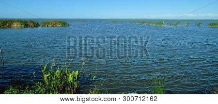 Views From The Lake Apopka Wildlife Drive In Florida