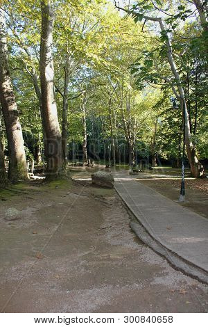 Agios Nikolaos Park Naousa Greece Europe