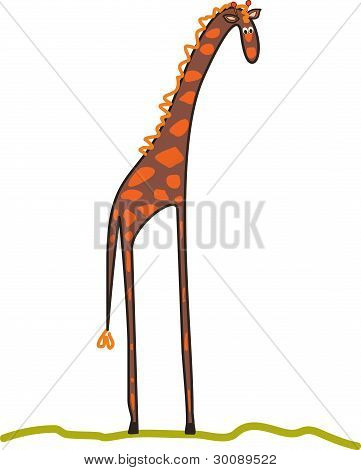 Giraffa