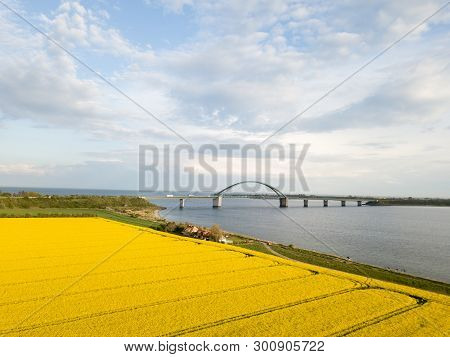 Fehmarn, Germany - May 11, 2019: Aerial Drone View Of Fehmarn Bridge And Yellow Rapeseed Fields.