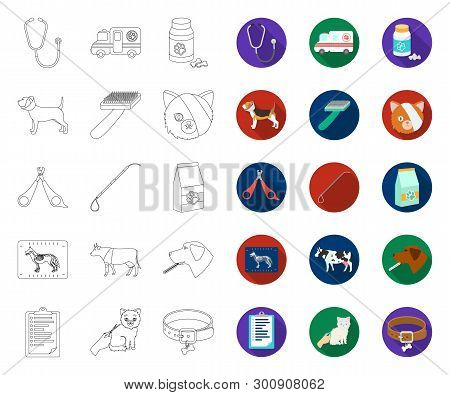 Veterinary Clinic Outline, Flat Icons In Set Collection For Design. Treatment Of A Pet Vector Symbol