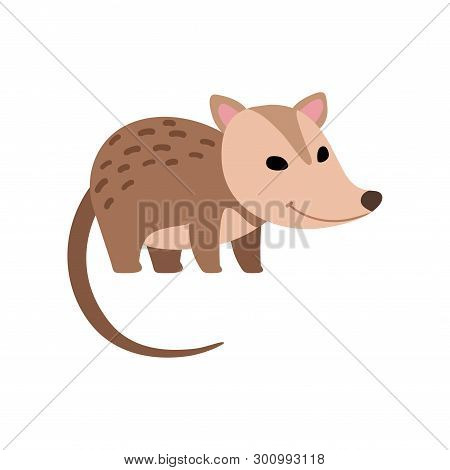 Cute Opossum Wild Animal Side View Vector Illustration