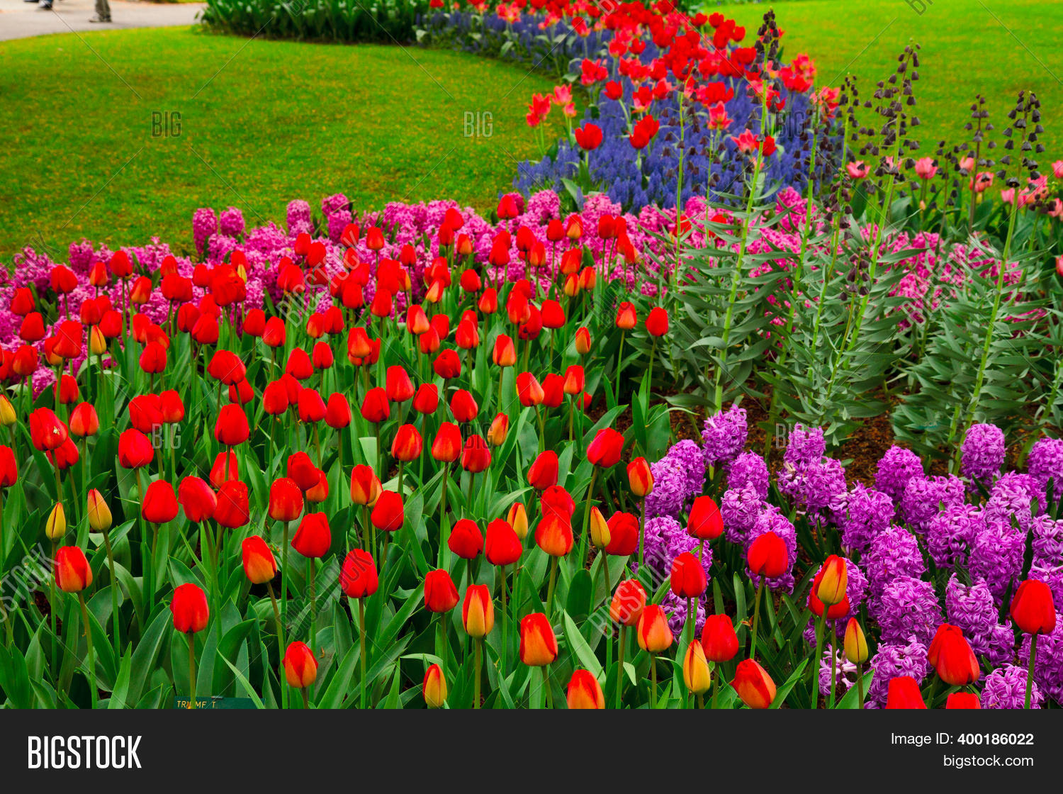 Floral Background - Image & Photo (Free Trial) | Bigstock