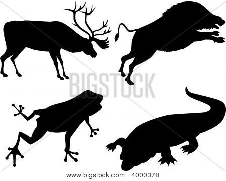 Sagome di animali selvatici
