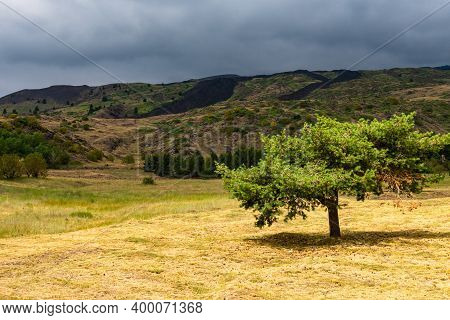 Mount Etna Volcanic Landscape And Its Typical Summer Vegetation