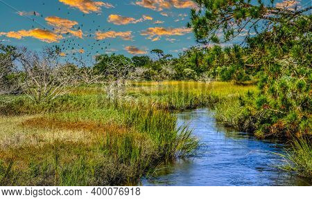 A Flock Of Birds Over Wetland Saltwater Marsh At High Tide