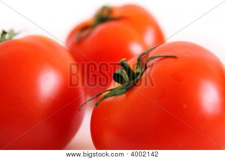 isoliert Tomaten