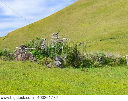 Orongo, The Relevance Of Easter Island. Orongo, The Relevance Of Easter Island.