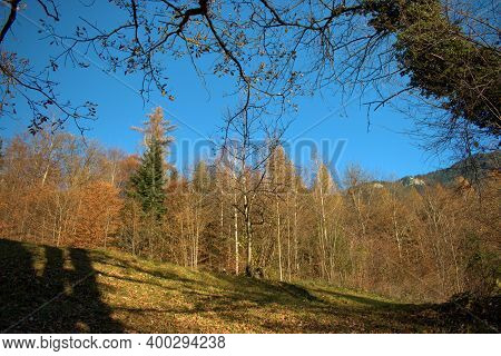 Fantastic Sceneries From The Autumn Mood In Triesenberg In Liechtenstein 18.11.2020