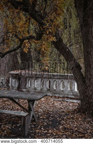 Old Bench In An Autumn Park Next To An Oak Tree And An Old Stone Fence