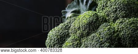 Big Head Of Fresh Green Broccoli On Dark Rustic Background, Selective Focus, Minimalism, Banner