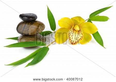 Yellow orchid med zen småsten isoleret på hvid