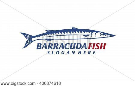 Barracuda Fish Design Vector Illustration, Creative Barracuda Fish Logo Design Concepts Template, Ic