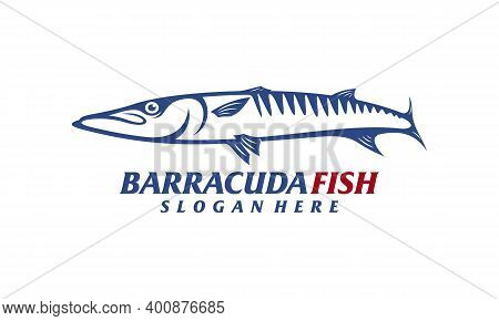 Barracuda Fish Design Vector Illustration, Creative Barracuda Fish Logo Design Concepts Template, Ic