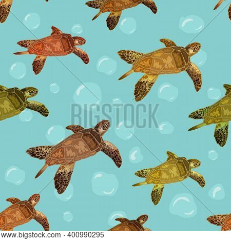 Pattern With Turtles On A Colored Background.swimming Turtles On A Colored Background In A Seamless 