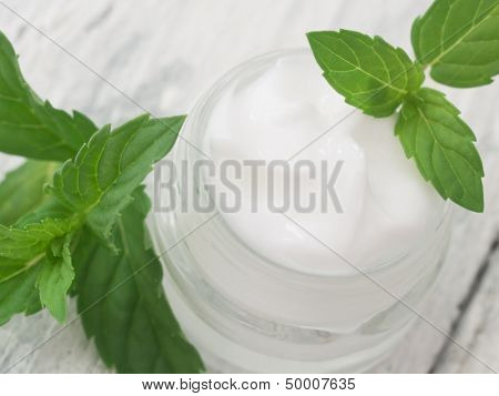 natural facial cream with mint