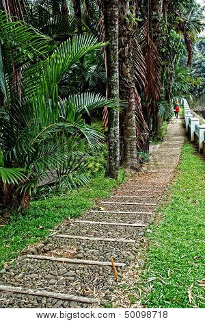 Stone Path