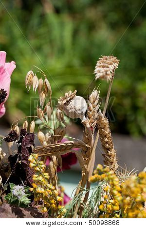 beautiful bouquets of flowers herbs and cereals