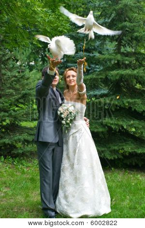 Menyasszony és a vőlegény a galambok