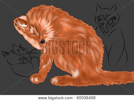 Cats Woke