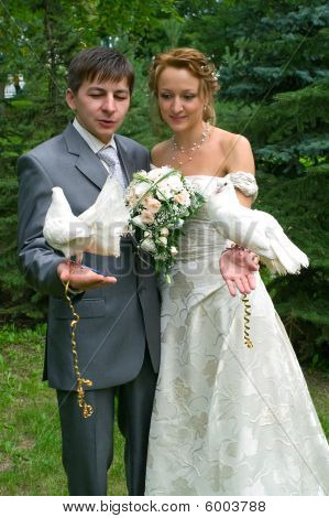 Menyasszony és a vőlegény a galambok