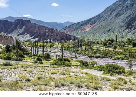 Cienaga, Quebrada De Humahuaca, Jujuy, Argentina.