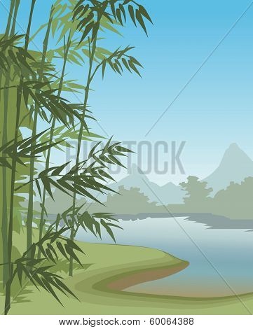 Landscape