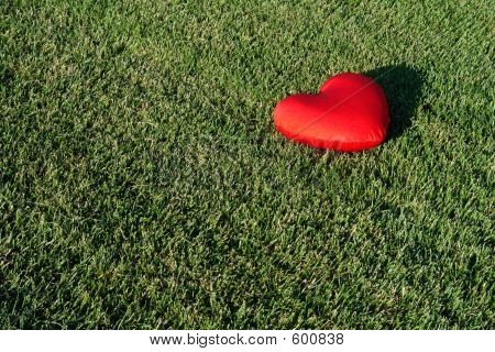 Coeur perdu