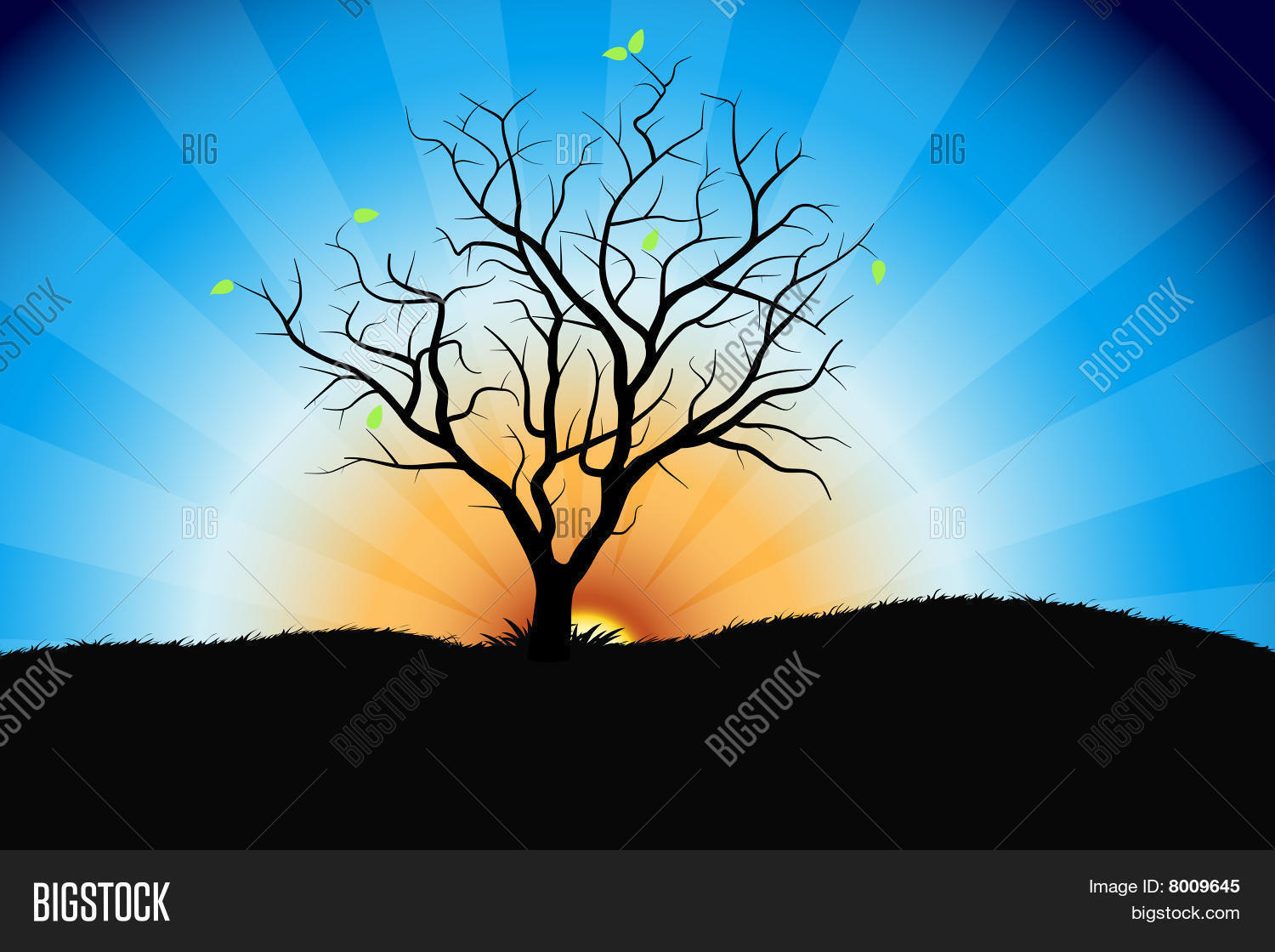 Image Preview