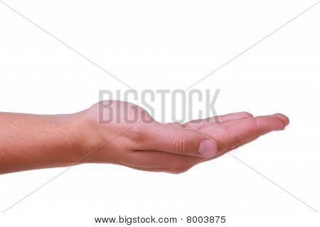 Derecho de la mano del hombre