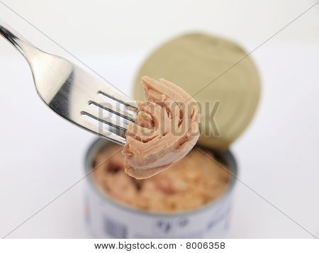 Thunfisch