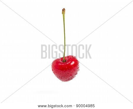 Ripe sweet cherry, isolated on white