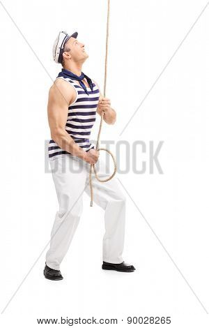 Full length portrait of a young male sailor pulling a rope and looking up isolated on white background