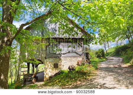 Hayrack and barn in Alpine enviroment, Slovenia