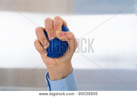 Person Hand With Stressball