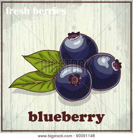 Hand Drawing Illustration Of Blueberry. Fresh Berries Sketch Background