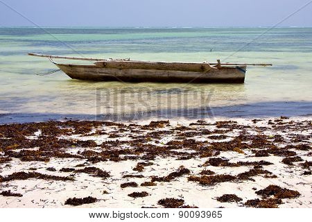 Relax  Of Zanzibar  Coastline Boat Pirague In The  Blue Lagoon