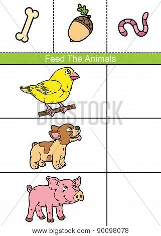 Feed animals