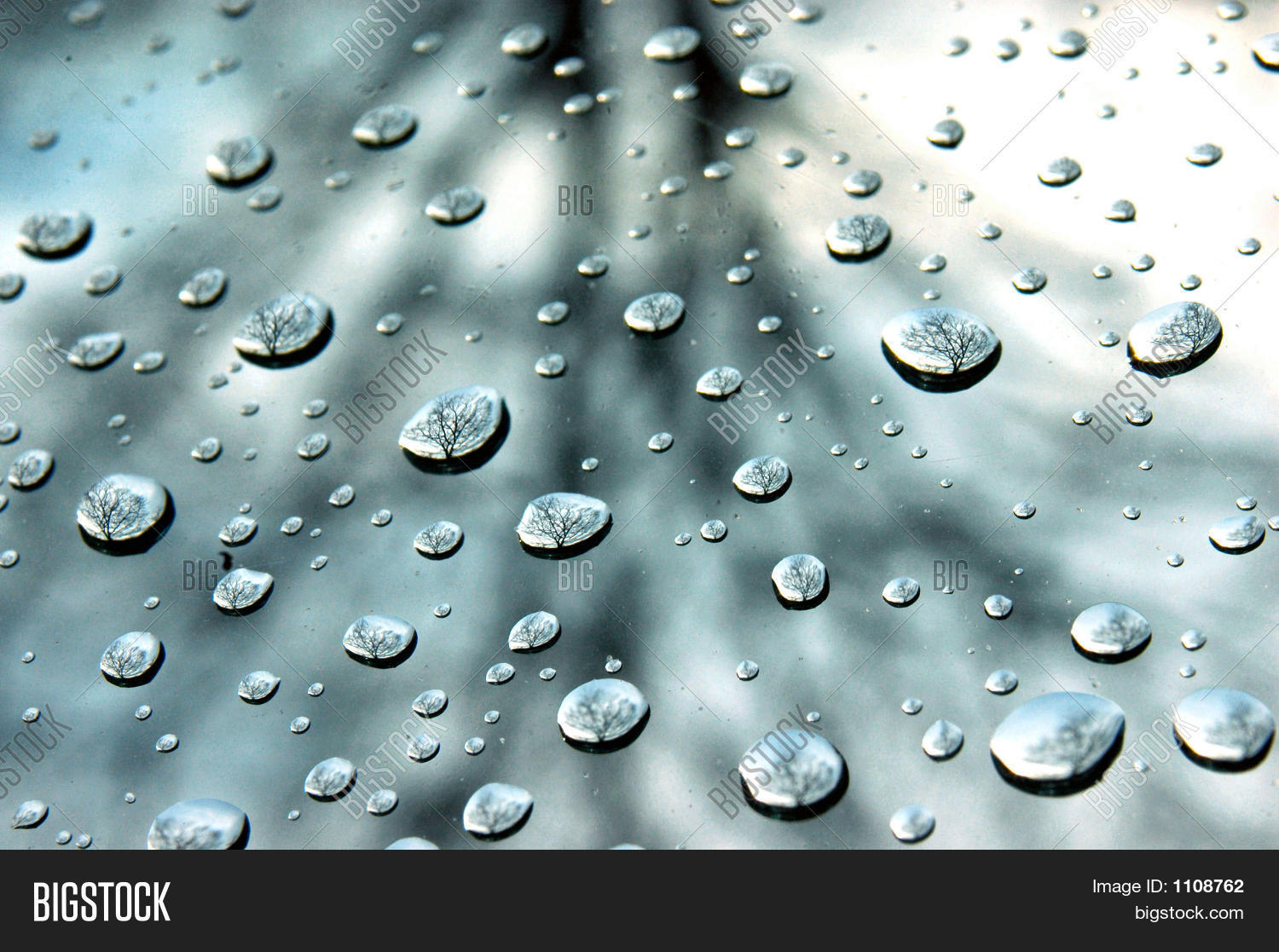 Image Preview