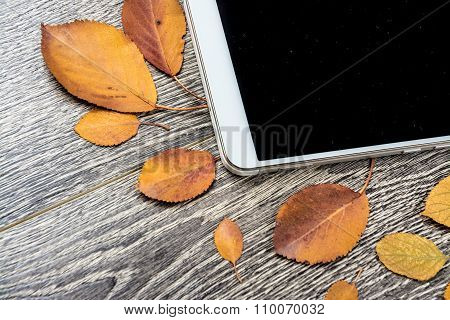 gadget on wood and leaves