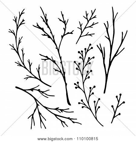 Vector Lettering.