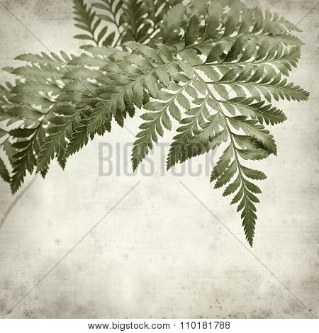 Textured Old Paper Background