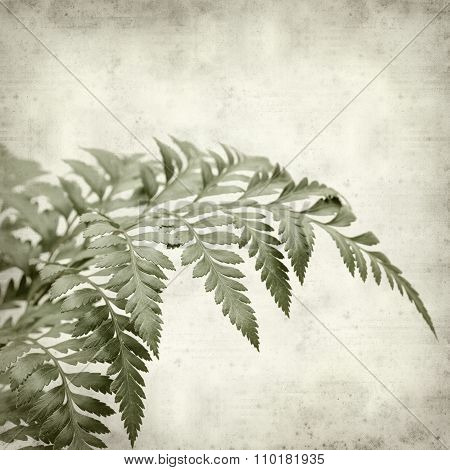Textured Old Paper Background