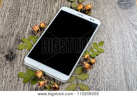 gadget on wood and leaves
