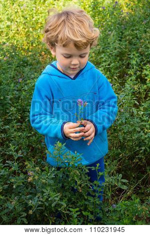 Boy Holding Flower In Field
